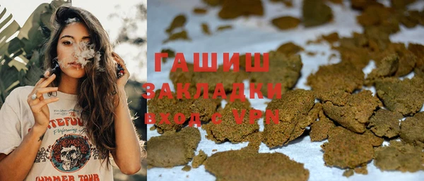 гидра Алексин